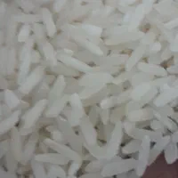 پخش برنج ارزان