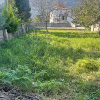 ۴۵۰۰ متر زمین باغ شیرود سند ۶ دانگ