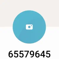 دوخط  تلفن  ثابت