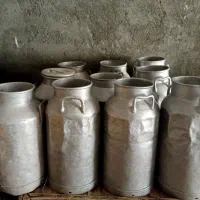 روحی جای شیر