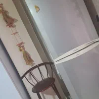 یخچال فریزر سلام