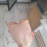 ماهی قزل آلا تازه 365000 حراج شد|خوردنی و آشامیدنی|دهلران, |دیوار