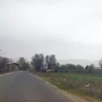 فروش سوله یانقد یامعاوضه