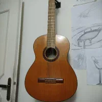 گیتار نو فروش فوری + کاور