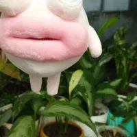 گوگولی های کوچولو