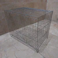 قفس  سهره عروس هلندی