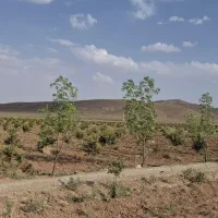 زمین  کشاورزی  طاقسکی سربیشه(سه راهی  پخت)|فروش زمین و ملک کلنگی|مود, |دیوار