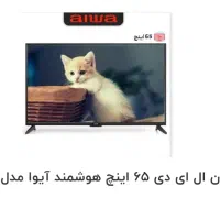 تی وی ۶۵ آیوا