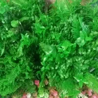 گل مصنوعی گرینوال دیواری