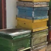 کندوی ترک تعداد ۴۰ عدد و چند تا هم طبق موجوده