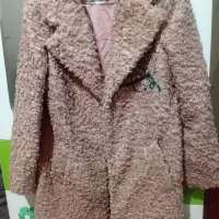 پالتوزنانه
