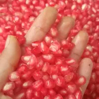 رب انارخونگی.