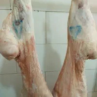 گوشت گوسفندی ازکیلوی ۵۰۰تمن به بالا|خوردنی و آشامیدنی|دهدشت, |دیوار