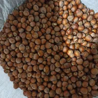 فروش فندق پاکسازی شده بدون خرابی و پوچی و سیاهی|خوردنی و آشامیدنی|رشت, بازار|دیوار