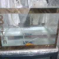 به خاطره کمبود جا