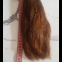 مو طبیعی|آرایشی، بهداشتی، درمانی|مشهد, عسگریه|دیوار