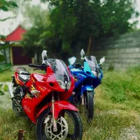 zx150  پلاک ملی و پلاک قدیم در حد نو|موتورسیکلت|تهران, پامنار|دیوار