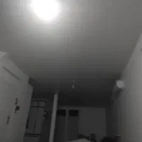 رنگ قالی کاموا قالی 9متری کامل