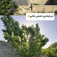 چهار-دیواری-باغی-برای-ساخت-ویلا