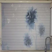 پرده زبرا درحد