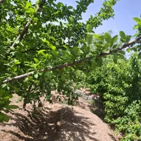 فروش خانه ویلایی ۱۲۰ متری
