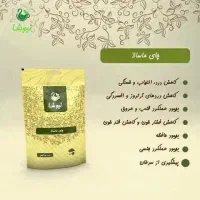 چای ماسالا نیوشا