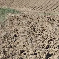 فروش زمین در روستای سوسرا|فروش زمین و ملک کلنگی|نوده خاندوز, |دیوار