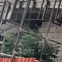 خدمات جوشکاری تمام مراحل ساختمانی|خدمات پیشه و مهارت|ارومیه, |دیوار