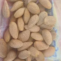 درجه یک ۹۰درصدشون دو مغز هستن
