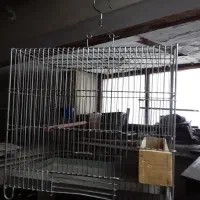 تعدادی قفس جای سهره و قناری|لوازم جانبی حیوانات|بروجرد, |دیوار