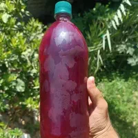 آبنار خالص و طبیعی فوق العاده خوش مزه ساوه