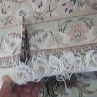 فرش ۱۲ متری|فرش|ایلام, |دیوار