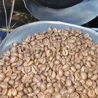 نیازمند نیروی کار در پخش قهوه شاهین
