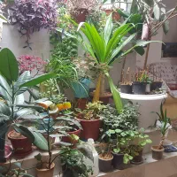 معاوضه-مسکونی-کیش-با-مغازه-در-اصفهان