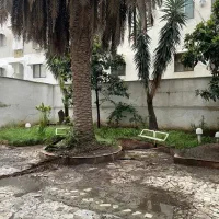 گلباغ نماز / ۶۰ متری دوخواب سند / با وام ورهن|فروش آپارتمان|رشت, گلباغ نماز|دیوار