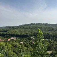 فروش زمین جهت ساخت مجموعه گردشگری/شیرگاه/بابلکنار