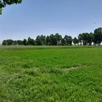 مدارک گم شده بنام مهدی حیدری