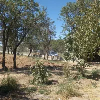 باغ 2000 متری فنس کشی شده در غرق آباد ساوه|فروش زمین و ملک کلنگی|نوبران, |دیوار