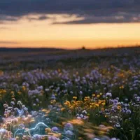 نگهبان و باغبان