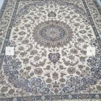 یک عدد رو فرشی 12 متری نو|روفرشی|قم, انسجام|دیوار