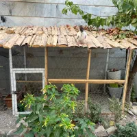 قفس بزرگ پرنده