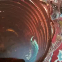 ماهی فایتر|ماهی|سنندج, |دیوار