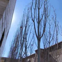 ویلای۳۷۸. متری۲۰۵. متر بنا مهرآباد.رودهن|فروش خانه و ویلا|رودهن, |دیوار