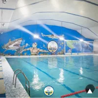 آموزش شنا بانوان ‌و کودکان