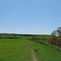 اجاره-هفت-هکتار-زمین-زراعی-پمپاژ