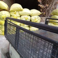 کود گوسفندی ب تمام شهرها|خدمات باغبانی و درختکاری|محمدشهر, محمدشهر|دیوار