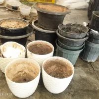 استند و گلدان سفالی و پلاستیکی|گل و گیاه طبیعی|جهرم, |دیوار