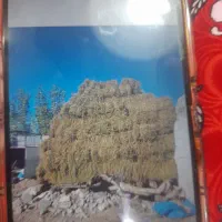 یونجه حیوانی