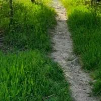 فروش زمین 135 متری در روستای مزرعه خلف