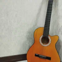 گیتار دیاموند